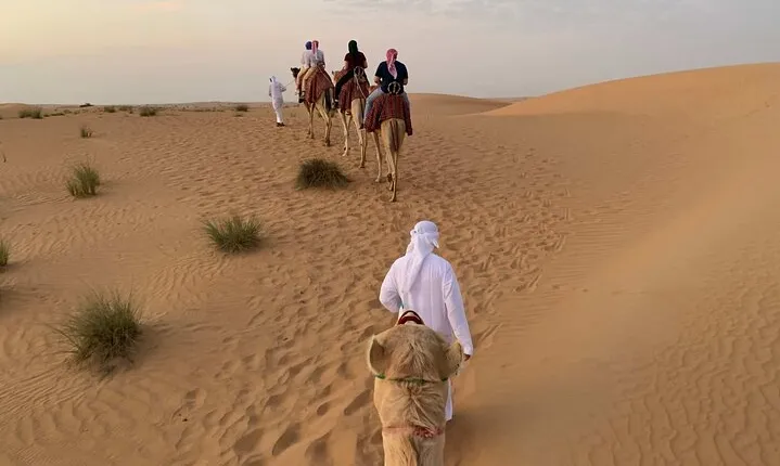 Desert Oasis Private Discovery in Sharm El Sheikh