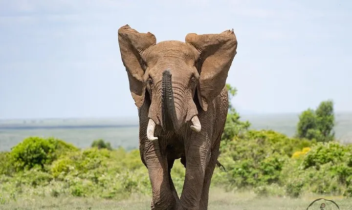 3 days safari in North- Ngorongoro, Tarangire, Mt. Oldeani