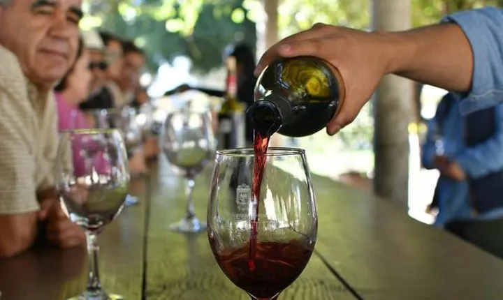 Grand Mexico Wine Country Tour from San Diego