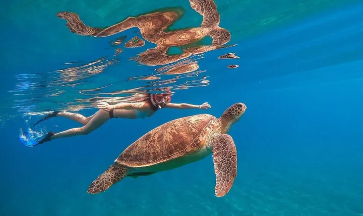 Abu Dabbab Private Full Day Snorkel with Turtles & Lunch-Hurghada