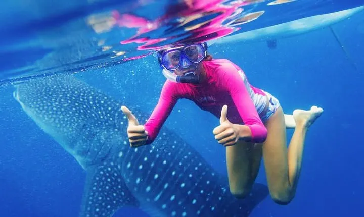 Oslob Whale Shark Swimming and Kawasan Falls Canyoneering