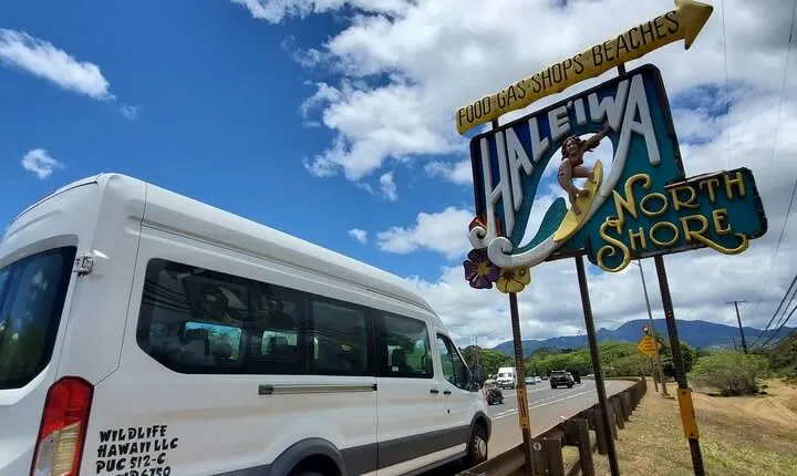 Round Trip North Shore Shuttle from Waikiki to Haleiwa Town / Haleiwa Harbor
