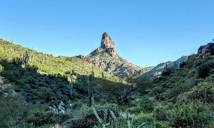 Phoenix Wilderness Hiking Tours