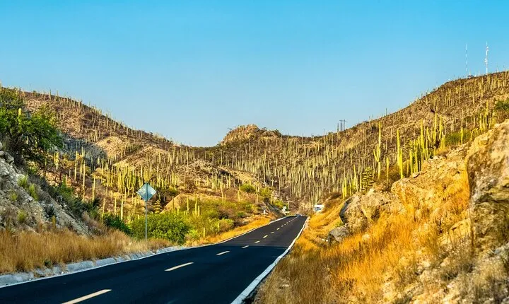 Private Tour to the Tehuacán Biosphere Reserve