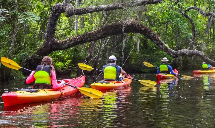 Amelia Island Guided Kayak Tour of Lofton Creek