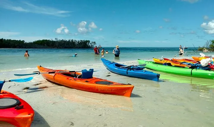 Kayak Adventure of Shell Key Preserve & Island with a Local
