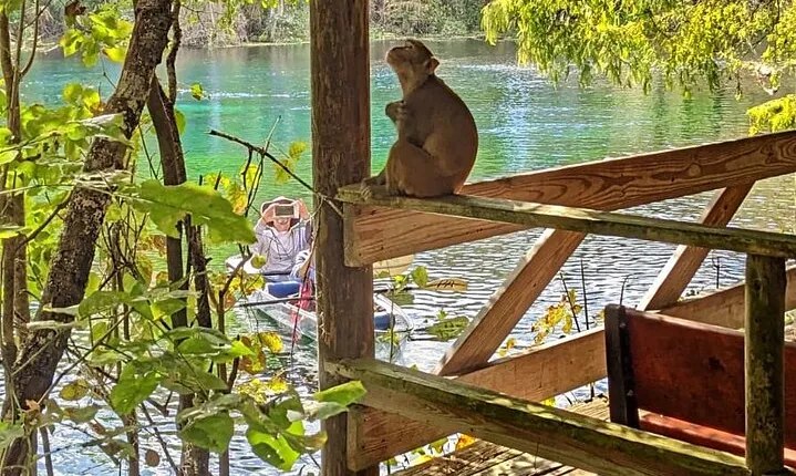 Silver Springs Jungle Kayaking and Paddleboarding
