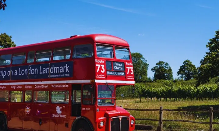 Sussex Vineyard & Winery Bus Tour on Iconic Vintage London Bus