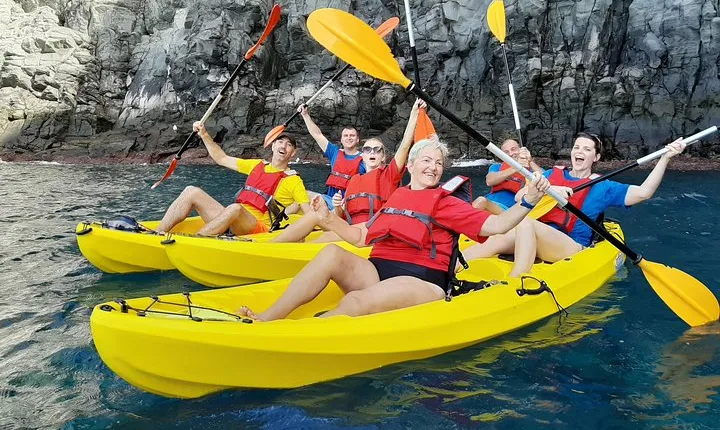 Kayak with Dolphin & Turtle Watching Private Tour