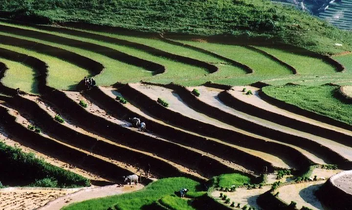 2-Days 3-Nights Sapa Trek with Night Train from Hanoi