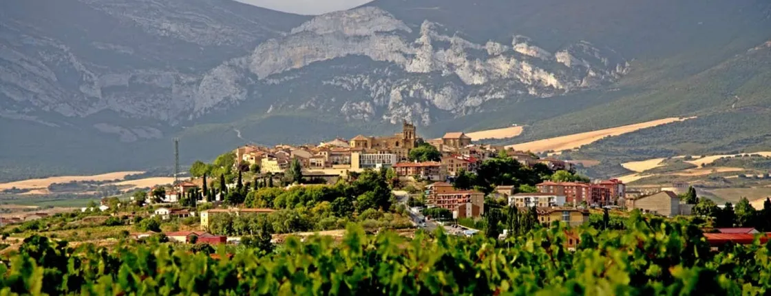 Vitoria and Rioja wine area full-day tour