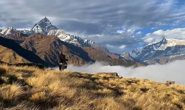 3 Days Korchan Trek from Pokhara