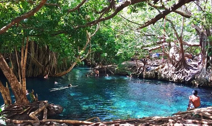 Moshi Tours: The Best Chemka Hot Spring Half Day Trip From Moshi