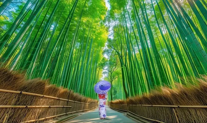 Kyoto Guided Private Tour 