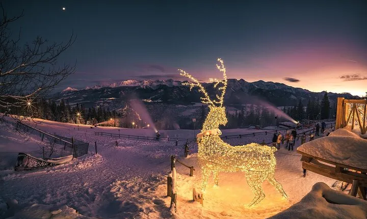 Zakopane & Thermal Hot Springs with Private Vehicle