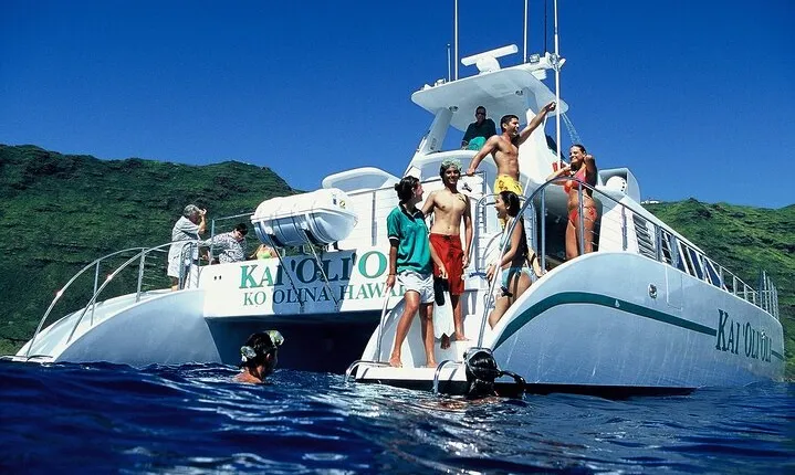 Premium Snorkeling Cruise and Dolphin Watch With Buffet & Drinks
