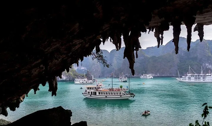 Wego Halong Cruise Full Day