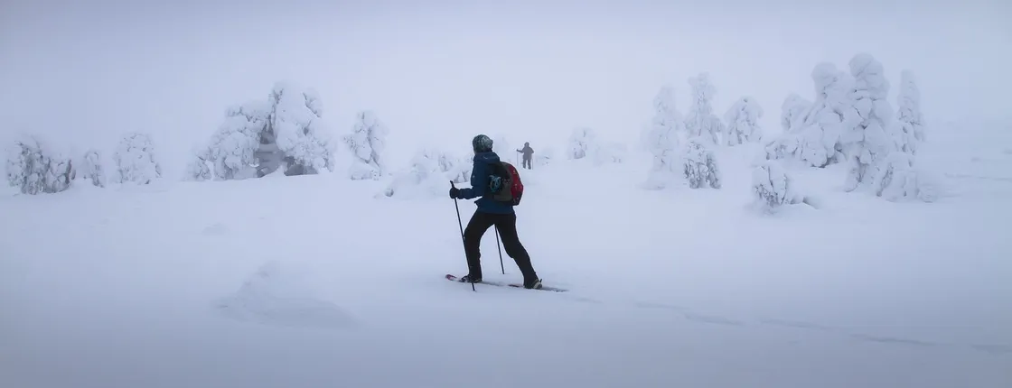 Snowshoeing Guided Tour