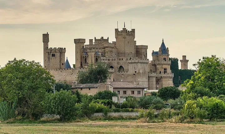 Pamplona and Olite Royal Palace in small group tour, lunch included