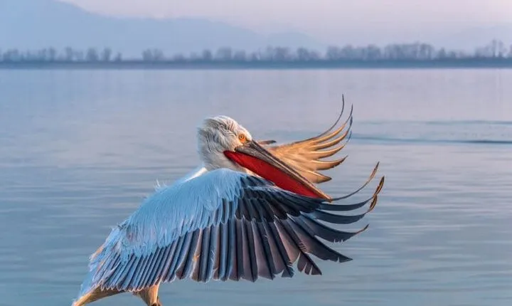 Small -Group Day Trip to Vilkovo - Ukrainian Venice
