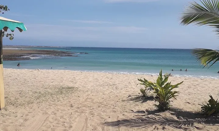 Discover Coral Coast & Natadola Beach Tour