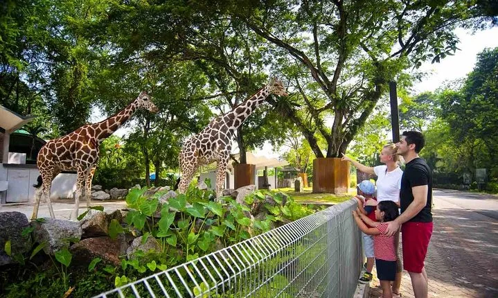 Private Tour to The Best of Animal Attractions in Kuala Lumpur