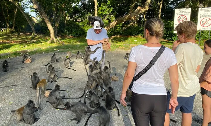 Kuala Selangor Fireflies Evening Tour and Silverleaf Monkeys