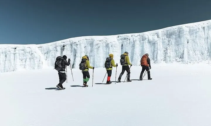 One Day Hike from Kilimanjaro to Mandara