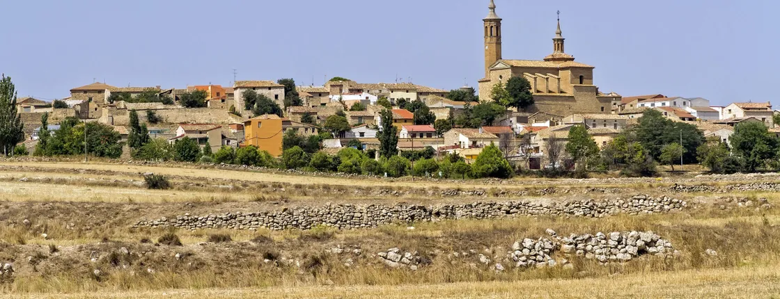 Full-day wine tour and visit to Goya's birthplace