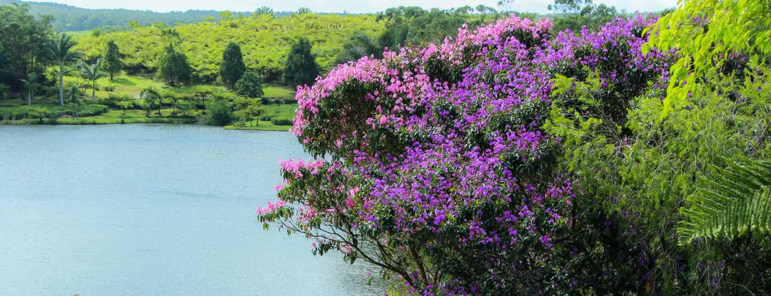Mauritius tea factory and Rhum distillery combined entrance tickets