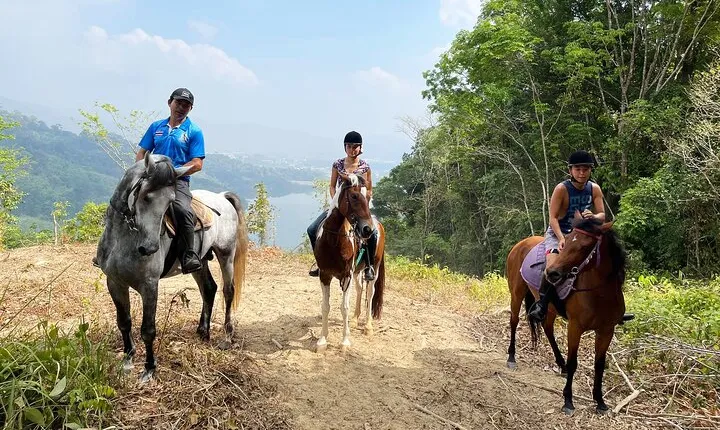 Phuket Horse Riding Experience