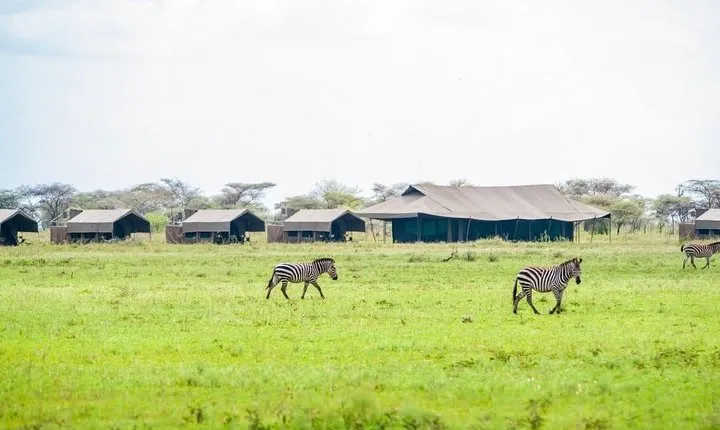 3 Days Wild Wonders of Serengeti & Ngorongoro Budget Safari