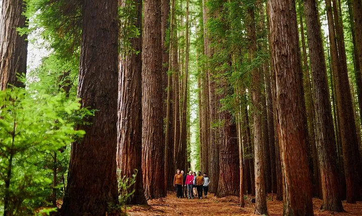 Fruit Picking & Nature Private Tour Yarra Valley & Warburton