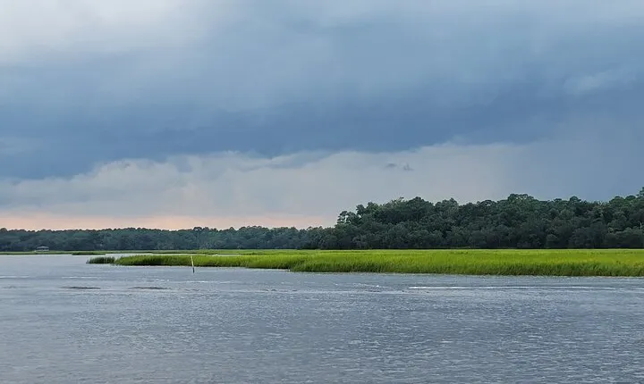 Boat Tour-Movies along the Marsh
