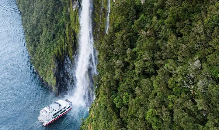 Milford Sound Premium Coach & Cruise from Queenstown with Lunch