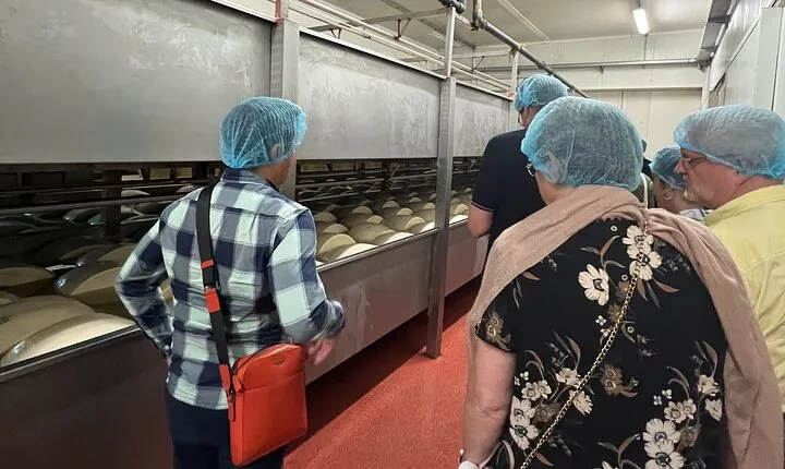 Parmesan, Wine, Balsamic Full Day Tour with Lunch
