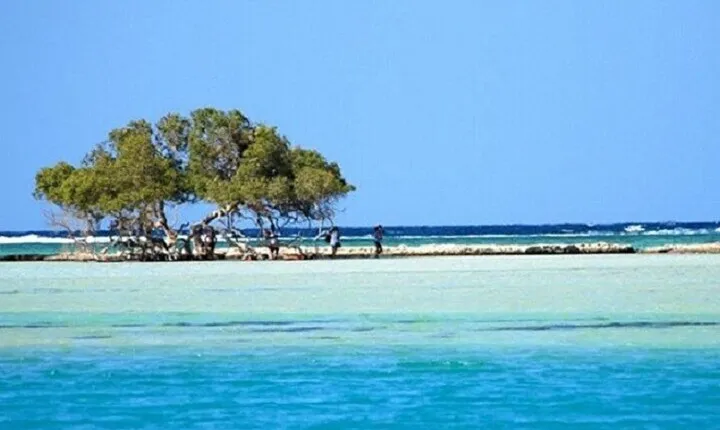 Hamata & Qulaan Islands Snorkeling Trip with Lunch - Marsa Alam
