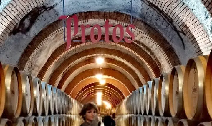 Premium Ribera del Duero tour with winemaker-guide