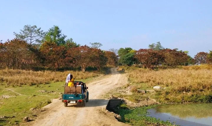 Tour of Pobitora Wildlife Sanctuary from Guwahati with Safari, Lunch and Guide