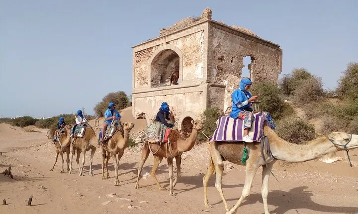 Camel ride or quad bike ride.. pick up, drop off. including