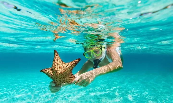 All Day Snorkel Package with Wetsuit Rental