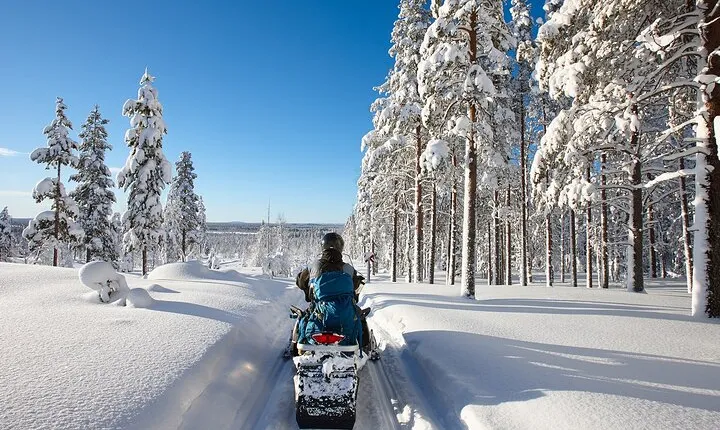 Easy Snowmobile Safari