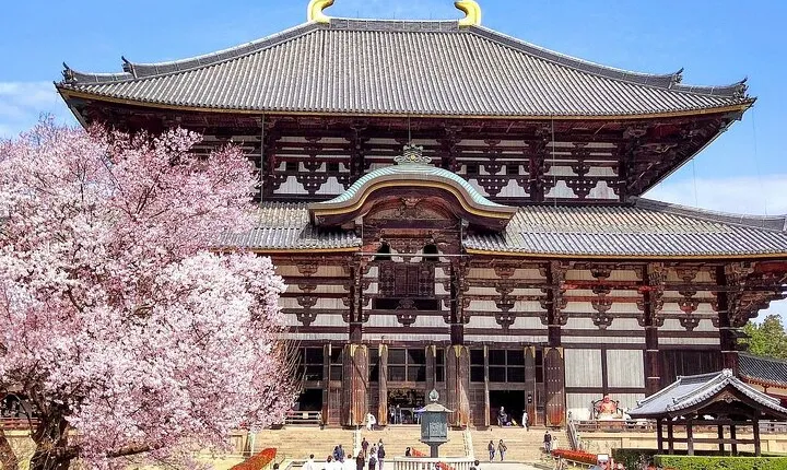 Osaka / Kyoto: Todai-ji, Nara Park, Fushimi Inari and Byodo-in