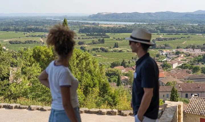 Afternoon Wine Tour to Chateauneuf du Pape from Avignon