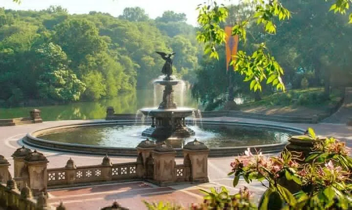 Central Park Wonders And Secrets Shared Walking Tour