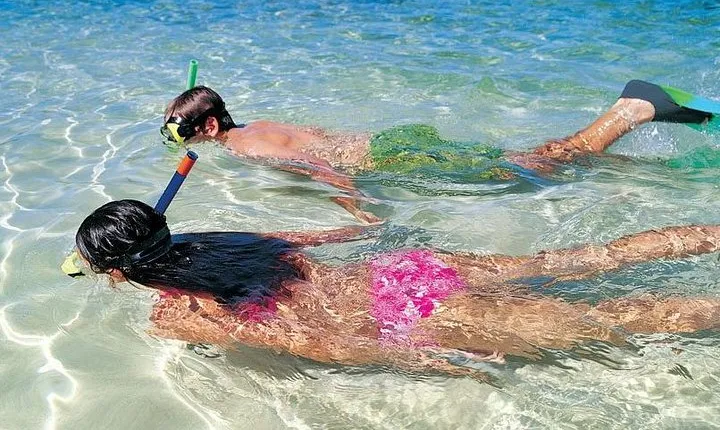 Snorkeling Discovery sailing in Los Cabos