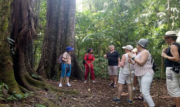 Bali Jungle Escapade: Rainforest and Waterfall Trekking
