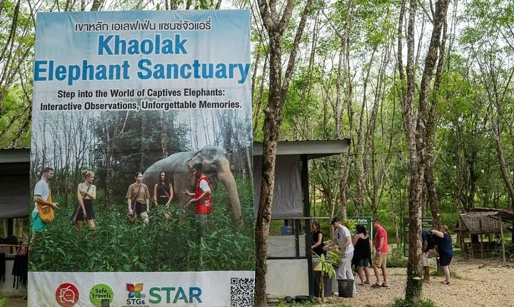Evening Guide Tour to Khaolak Elephant Sanctuary Free 1 Cocktail
