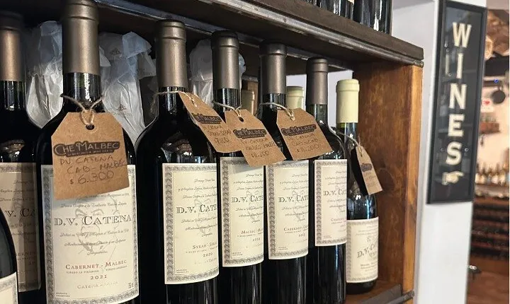 Introduction to Wine Culture in Buenos Aires