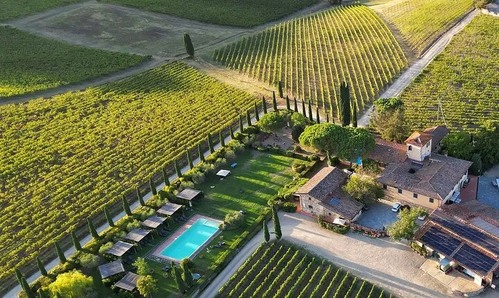 Discover the Chianti Classico Wines with Visit and Tasting 